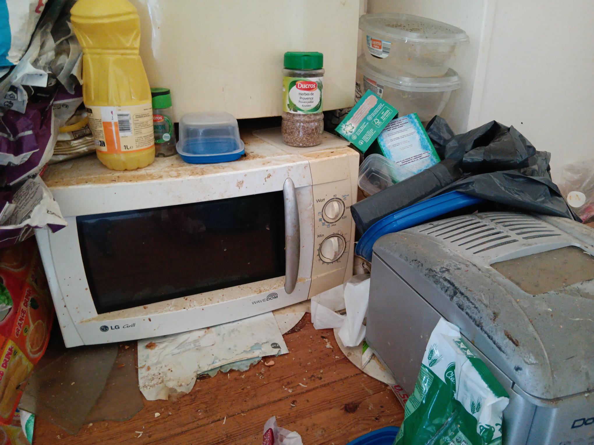 Logement insalubre